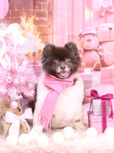 20241226太郎くん